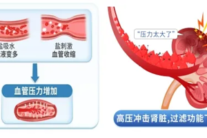 【世界肾脏日】武宁县总医院人民医院院区肾内风湿内分泌科：您的肾脏健康吗？早检查，保健康