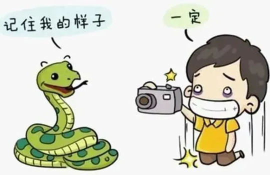 武宁县总医院人民医院院区毒蛇咬伤急救科普： 争分夺秒，科学应对，为生命赢得时间