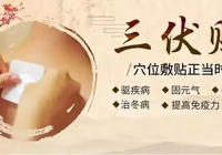 【冬病夏治正当时】武宁县总医院人民医院院区2025年三伏贴、督脉灸、脐灸火热预约中