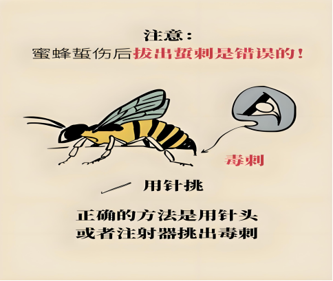 8f5a7628d91b419e9ff69e14a25c0d71.png