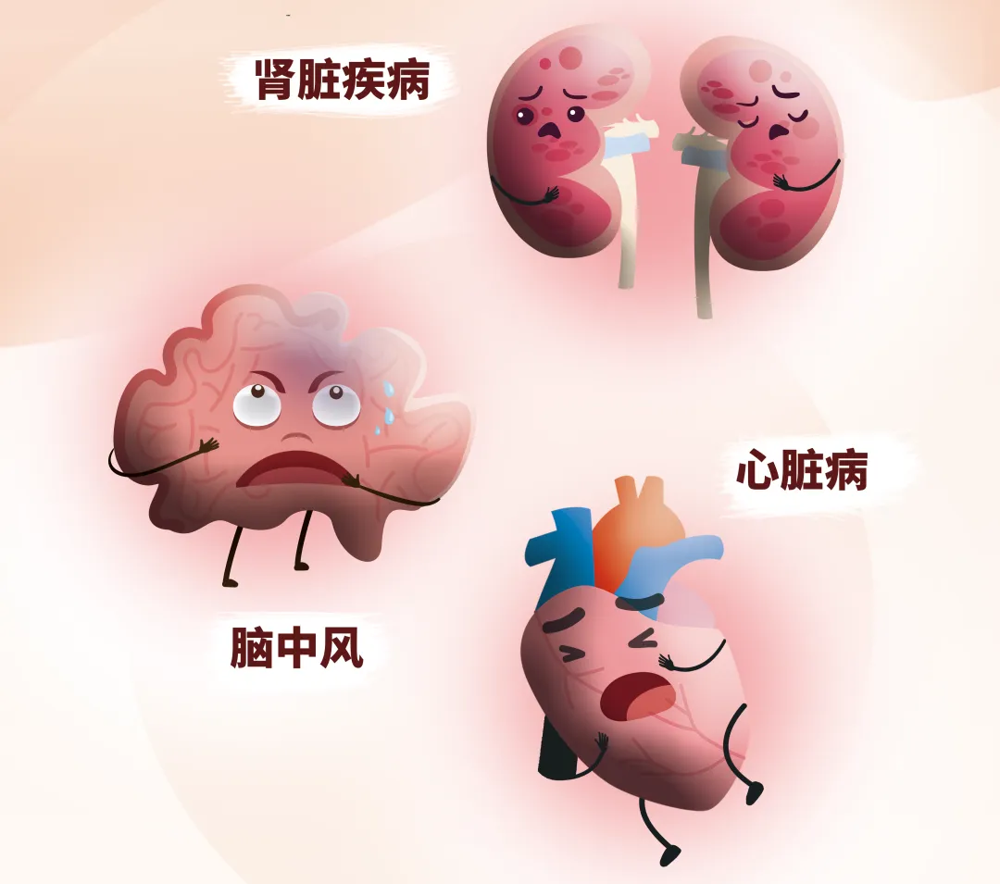5084aeb689434de7ac8e6d998c0f2236.png