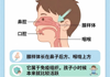 【健康科普】孩子张口呼吸、睡觉打鼾别忽视！腺样体肥大到底要不要手术？